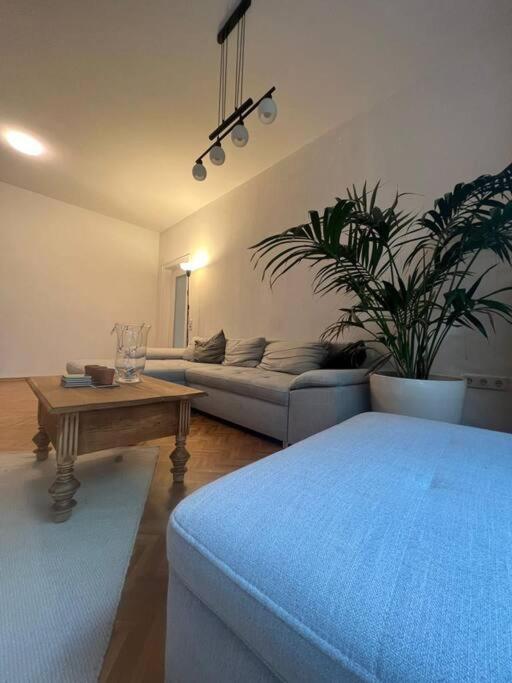 Ganzes Haus In Der Altstadt, Ideal Fuer 2 Personen, 4 Gaeste Moeglich Quakenbrück Exteriér fotografie